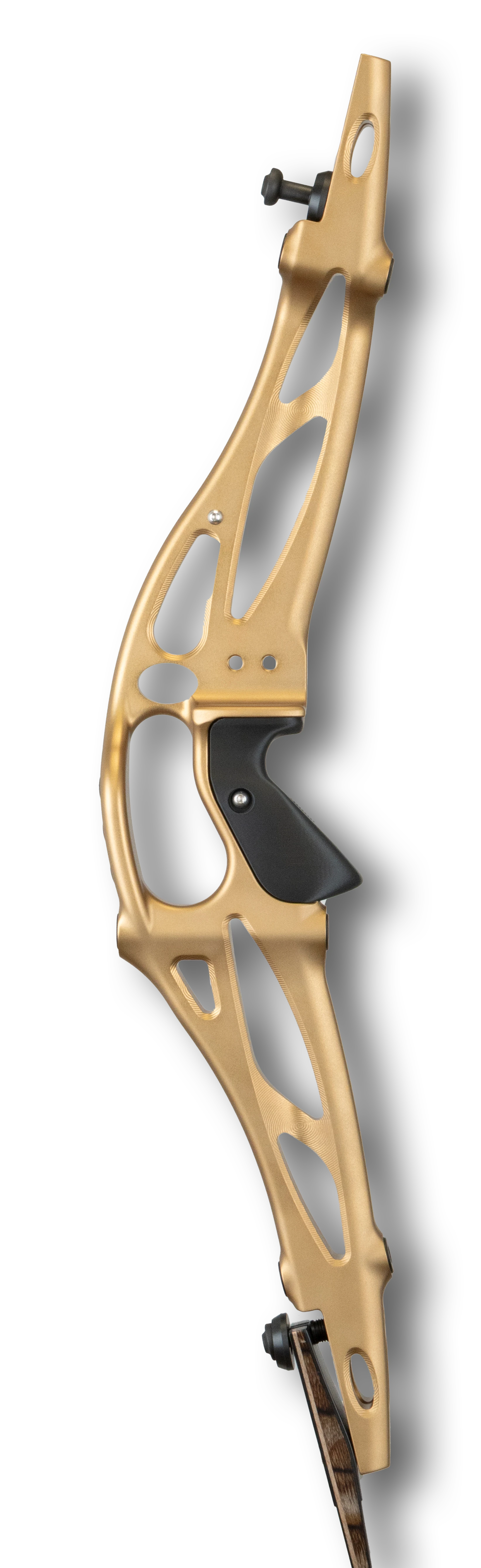 Border Archery Tempest 27" RH Bright Bronze/Brown Black-Pack H01