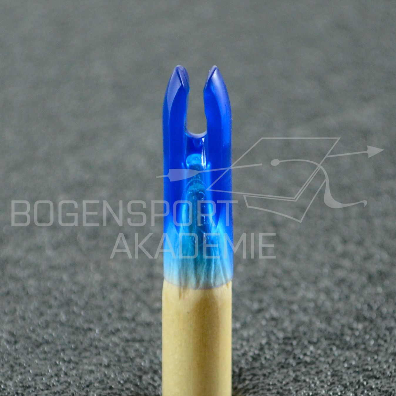 AAE Arizona PlastiNock Blau 11/32