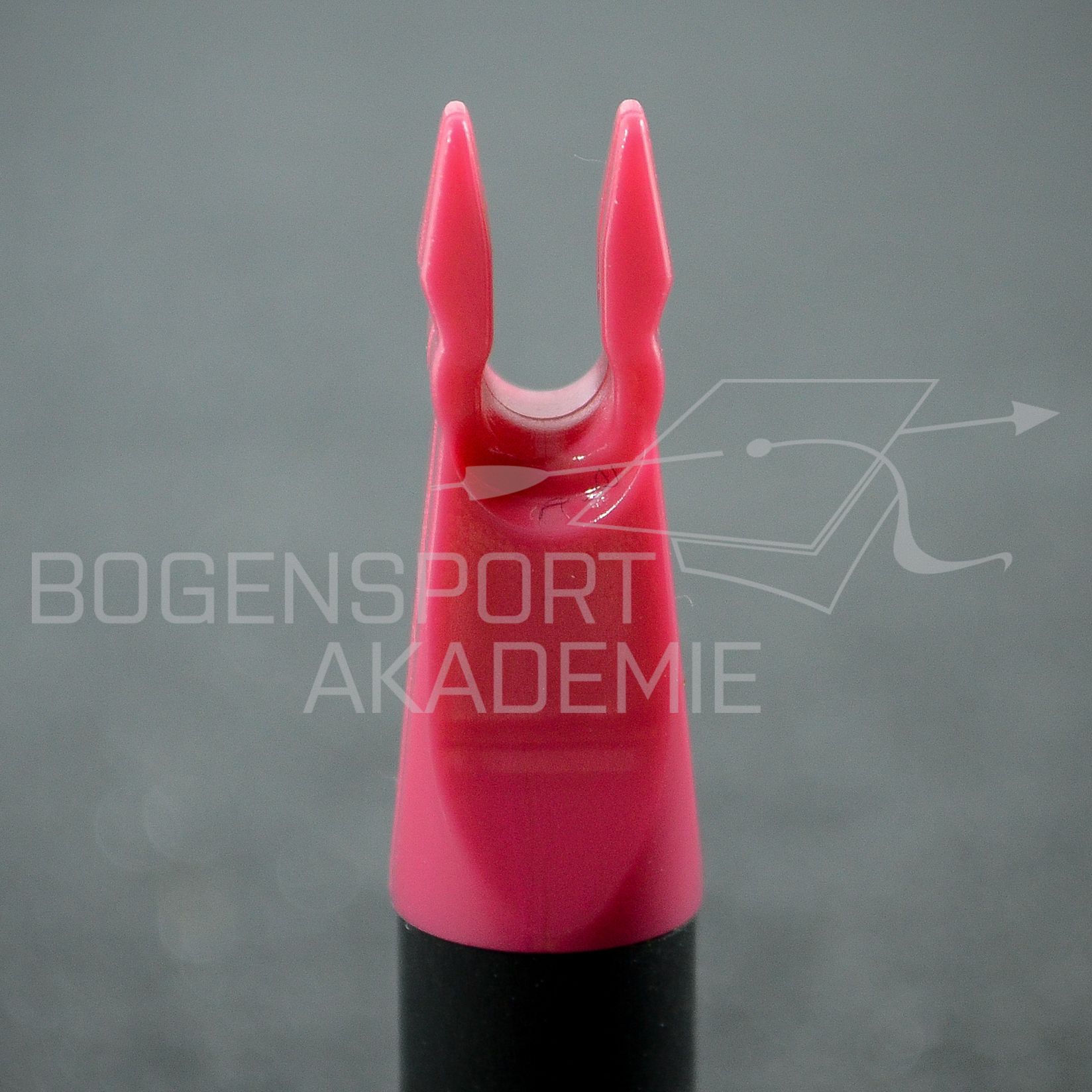 Beiter In-Nocke 19 Candy Pink #81 Nockbett 2