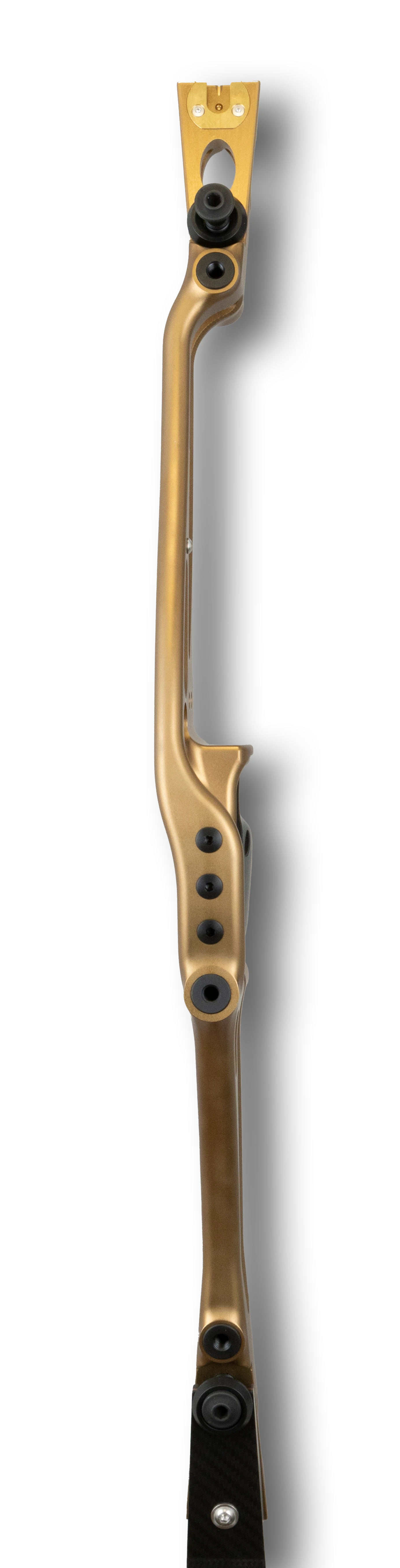 Border Archery Tempest 27" RH Bright Bronze/Brown Black-Pack H01