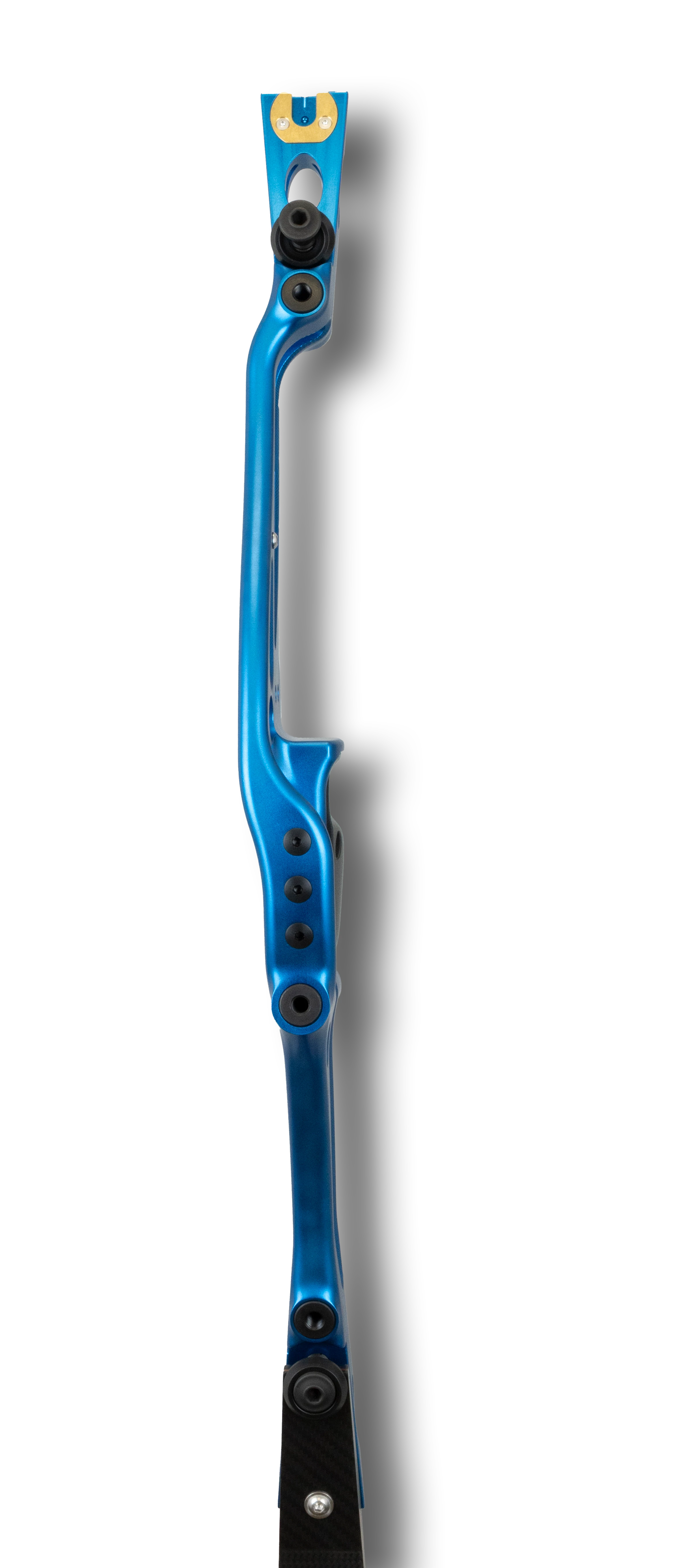 Border Archery Tempest 25" RH Bright Royal Blue Black-Pack T08