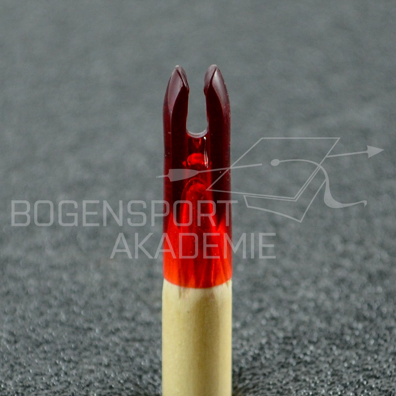 AAE Arizona PlastiNock Rot 11/32